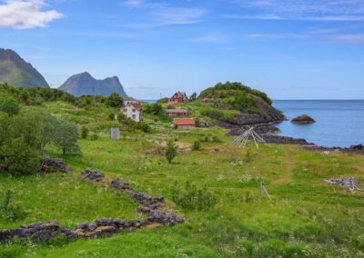 senja 6027018 250629 133943