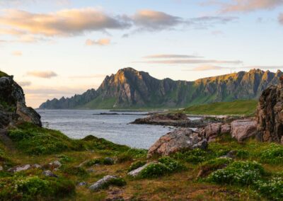 senja 6027018 250701 225018