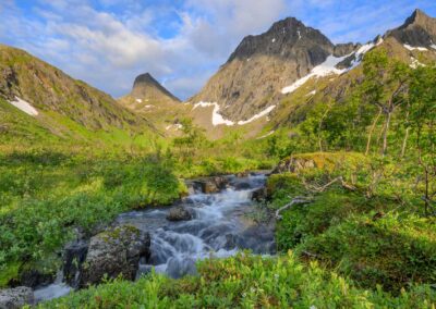 senja 6027018 250704 214907