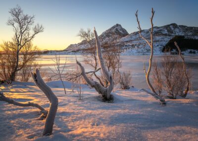 lofoten 6027018 260122 133744